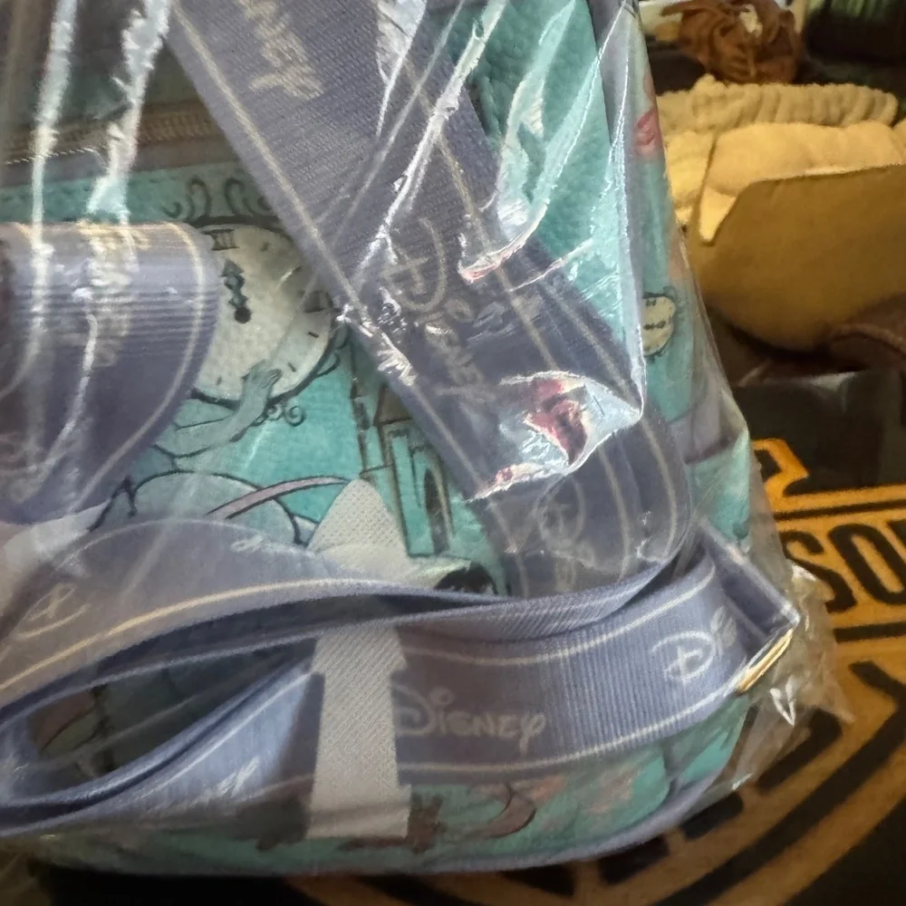 Disney Princess Wonda Backpack Girls Small Bag NWt